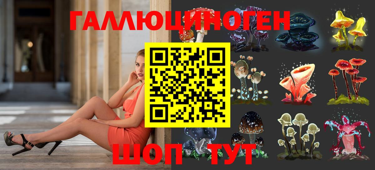 Новочебоксарск  сколько стоит  Вход с VPN  Галлюциногенные грибы Cubensis 